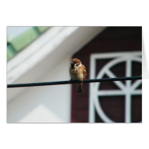 Taking A Break Greeting Card