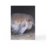 Taking it easy birthday card