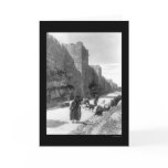 Taking Sheep to Market Jerusalem 1896 Greeting Cards