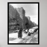 Taking Sheep to Market Jerusalem 1896 Print