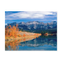 Talbot Lake Jasper Alberta ,Canada Postkarten