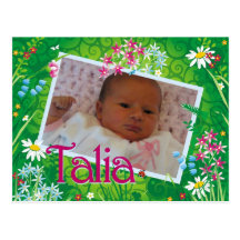 Talia Has Arrived Postcards