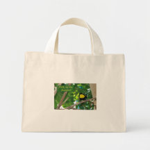 Talk to the feathers! Bag