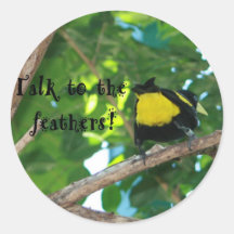 Talk to the feathers! Stickers