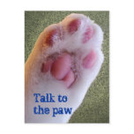 Talk to the Paw Postcard