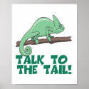 Talk to the Tail Lizzard Iguana posters