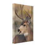 talking deer canvas prints