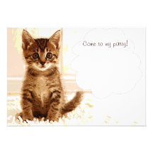 Talking kitten announcement card