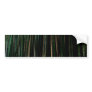 Tall Bamboo at Night. Bumper Sticker