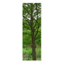 Tall Tree Bookmark business cards