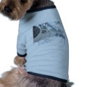 Tall Tree pet clothing