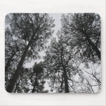 Tall Trees Mouse Pads