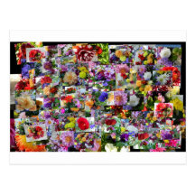 Talmar Flower Bouquets Postcard