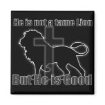 Tame Lion magnets