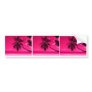 TAMPA BAY FLORIDA BUMPER STICKERS