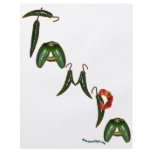 Tampa Chilli Peppers flyers