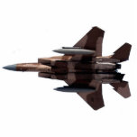 Tan Aggressor F-15 Eagle Photo Sculptures