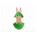 Tan Bunny In A Green Christmas Ornament Post Card