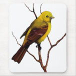 Tanager: Bird: Oil Pastel: Freehand Wildlife Art Mousepads