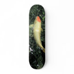 Tancho Skateboard