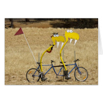 Tandem Snakes