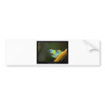 Tangara seledon - Green-headed Tanager (female) 01 Bumper Sticker