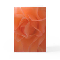 Tangerine Dream (1) Greeting Cards
