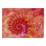 Tangerine Dreams Cards
