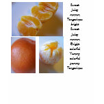 tangerine fruity shirt