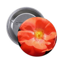 Tangerine Rose product line Pinback Buttons