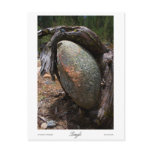 Tangle Prints postcards