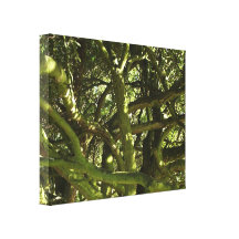 Tangled Woods Stretched Canvas Print