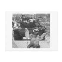 tank and sloth postcards