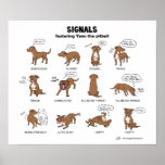 TANO Signals