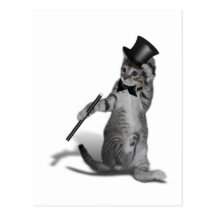 Tap Dancing Cat Postcards