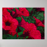 Tapestry Flowers: Fuschia posters