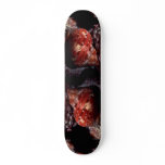 Tapestry turban (Turbo petholatus) Shell Skate Board Deck