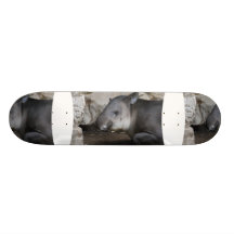 Tapir Skateboard