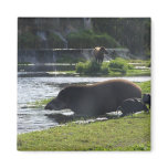 Tapir Taking A Dip In The River Fridge Magnet