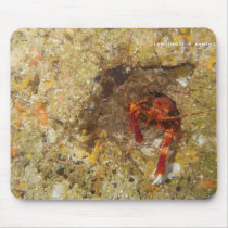 Tapis de souris 'langouste à bandes '