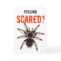 Tarantula Birthday Card