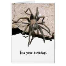 Tarantula Birthday Card