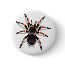 Tarantula Button