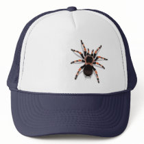 Tarantula Hat