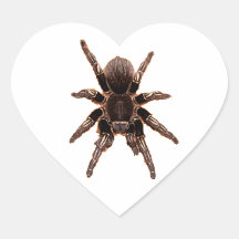 Tarantula Heart Sticker