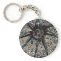 Tarantula Key Chain
