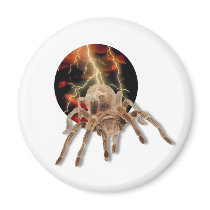 Tarantula Lightning Refrigerator Magnets