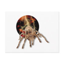 Tarantula Lightning Post Cards