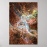 Tarantula Nebula 20x30 (20x30) Poster