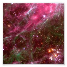 Tarantula Nebula (Hubble Telescope) Photo